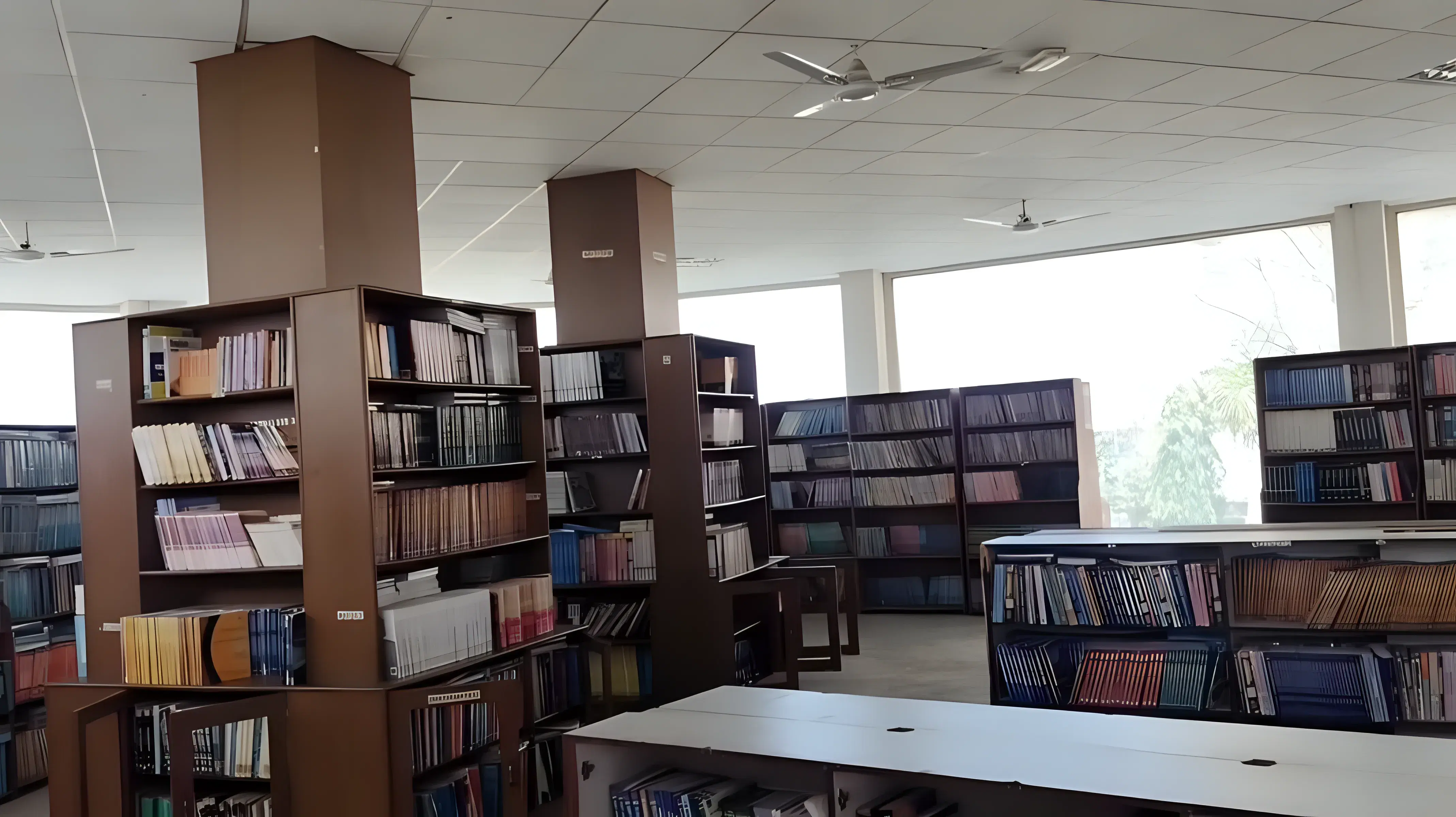IITM Murthal library photo 1